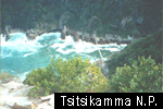 Tsitsikamma N.P.